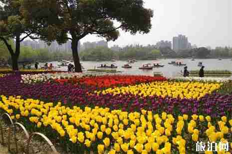 大宁公园停车场收费 附停车攻略