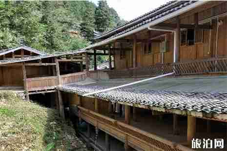 中國最美鄉鎮貴州雷山格頭村有什么好玩的