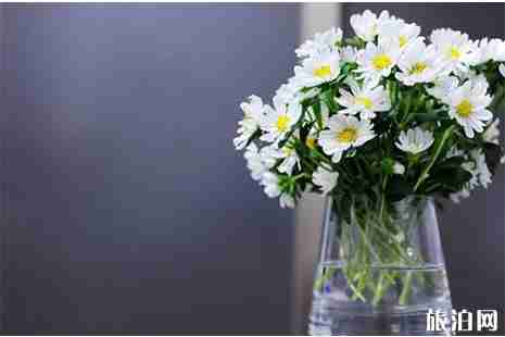 2019蚌埠清明扫墓公交信息