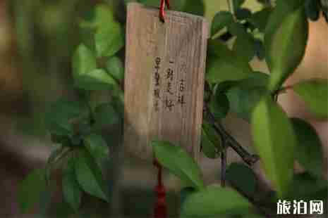 2019湖州清明节交通管制信息+扫墓专线整理