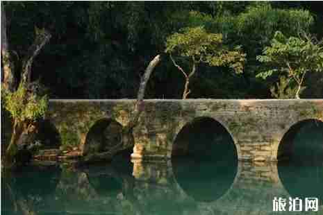 貴州旅游免費政策2019 元旦去貴州哪里好玩