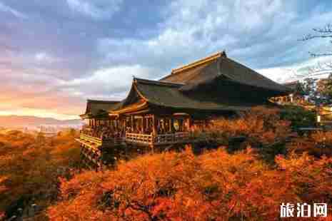 春節去日本旅游好嗎 春節去日本旅游必備日語