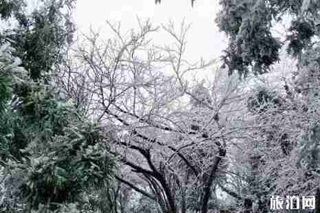 湖南下雪了嗎2018年12月 湖南霧凇哪里有