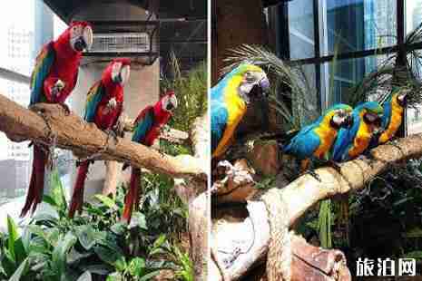 重慶萌可萌可室內動物主題公園門票+地址+交通+游玩線路