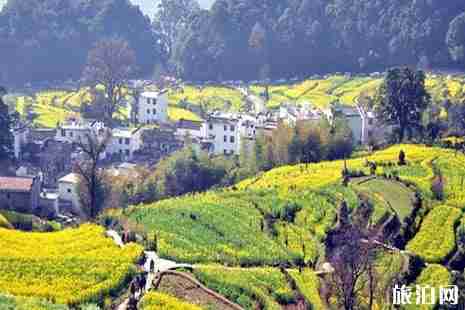 江西旅游優惠 江西旅游必去的五大景點推薦