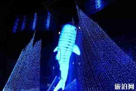 圣誕節(jié)大阪燈光秀時間+門票+地點+介紹