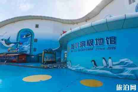 哈尔滨极地馆年票价格+交通+游玩项目