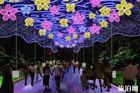 2019大豐梅花灣新春燈會 時間+地點+門票