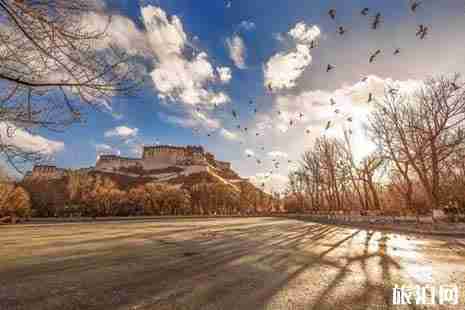 中國霧霾最少的城市推薦