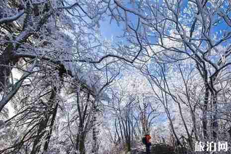 黃山下雪了嗎 黃山冬天好玩嗎