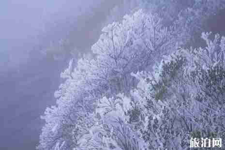 福建哪里看霧凇+交通