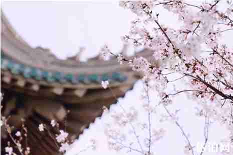 外國人144小時過境免簽城市有哪些