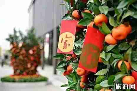 2019深圳龙岗区五大迎春花市地址+时间+交通