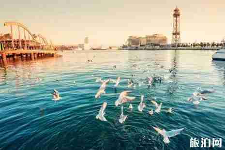 2019年十二星座旅行地推荐