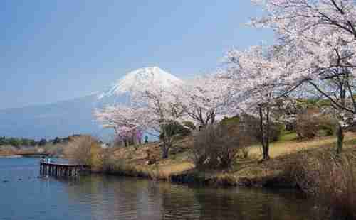 出行日本交通注意事項