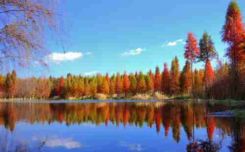 撈魚河濕地公園怎么走 撈魚河濕地公園旅游交通攻略