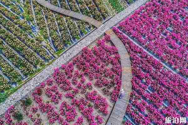 夏季杭州哪里好玩 夏季杭州赏花攻略