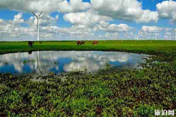 辉腾锡勒黄花沟游玩攻略