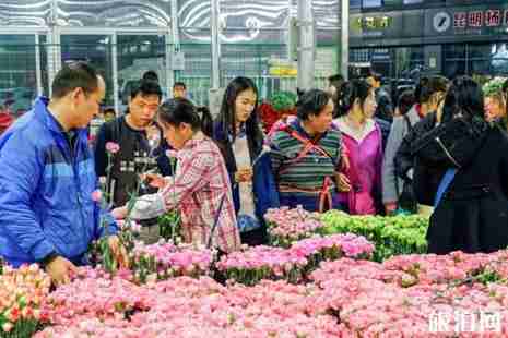2019年春季昆明赏花的地方有哪些