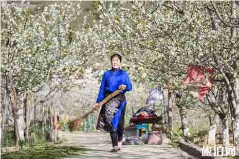 川藏线旅游路线赏花路线推荐