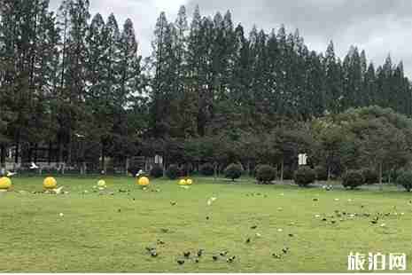 宁波绿野山居攻略