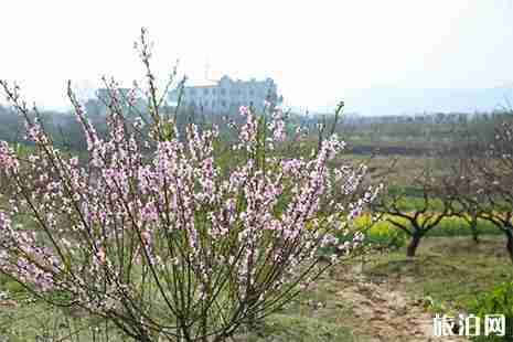 2019安徽马鞍山大青山桃花节3月18日开启