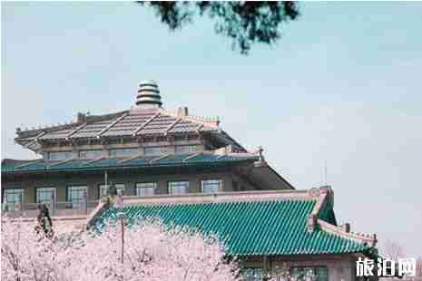 2019武大樱花开了吗 武大樱花3月28日至30日全面开放