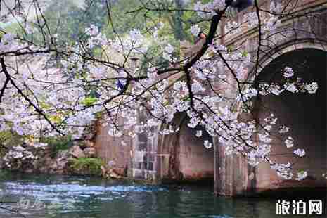 2019杭州太子湾樱花在哪里 花期+赏花攻略