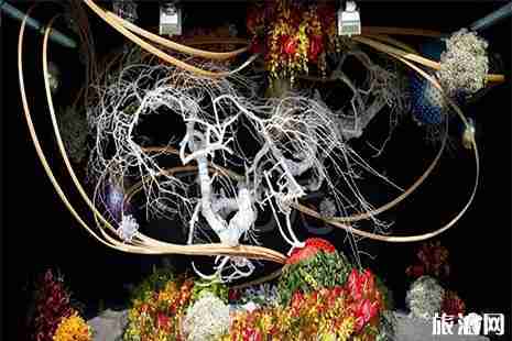 2019香港花卉展覽 時間+門票+購票方式