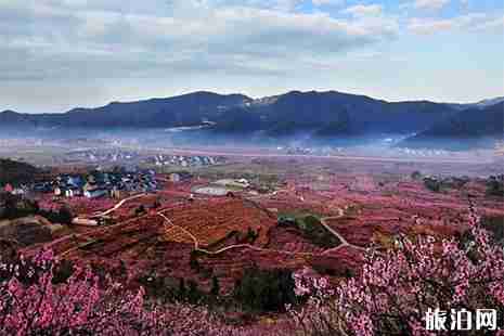2019寧海東山桃花節3月22日開啟