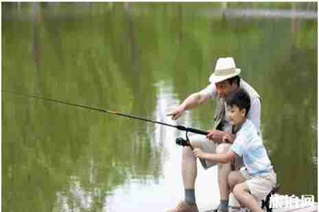 2019武漢新洲三店街桃花節3月18日開啟