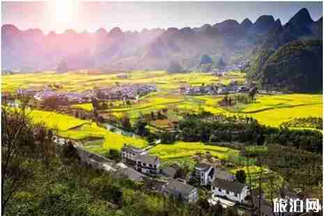 近期贵州哪些地方花开了2019