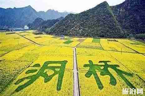 2019浙江富阳区山乡公交专线 站点+路线走向