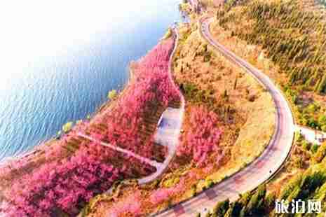 2019撫仙湖櫻花節(jié)門票 撫仙湖游玩攻略