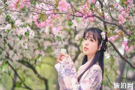 2019安徽阜陽市子胥桃花節3月26日開啟