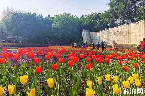 2019四月桂林看花的地方 桂林賞花地點推薦