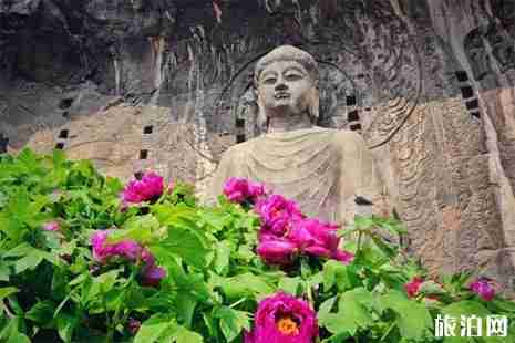 2019洛陽牡丹節龍門石窟活動攻略