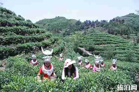 2019都勻百鳥湖休閑觀光園門票多少錢