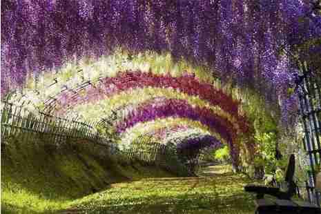 2019年四月聊城旅游攻略