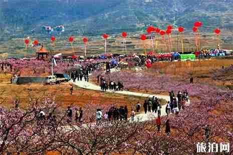 2019泗水桃花節(jié)4月4日開啟 附節(jié)目單