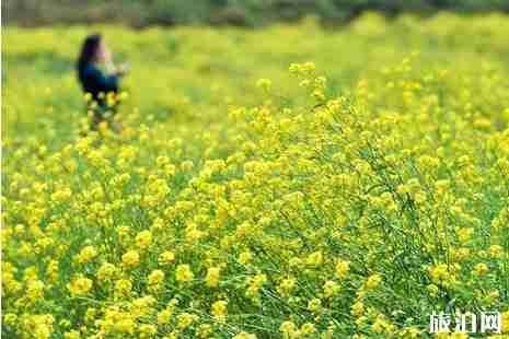 2019湖南景區優惠政策 2019湖南高鐵線路調整信息整理