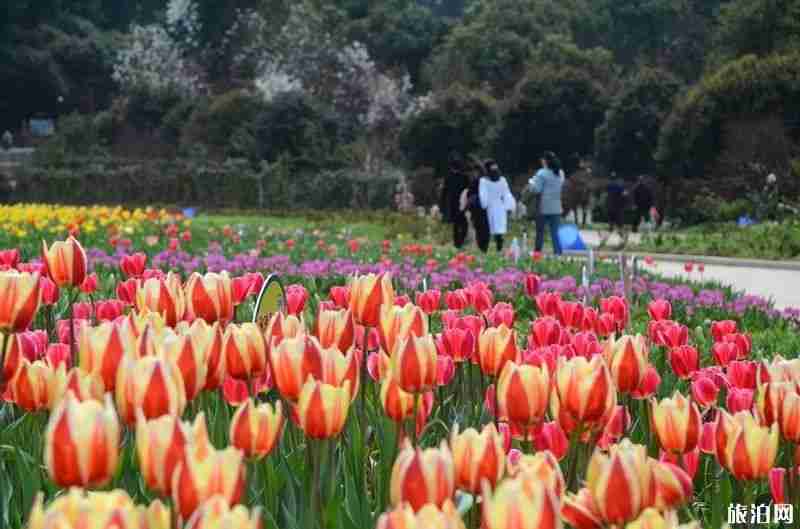 2019湖南省植物園賞花時間表