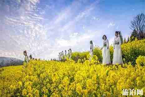 河南鄭州新密袁莊油菜花節4月6日開啟 附賞花攻略