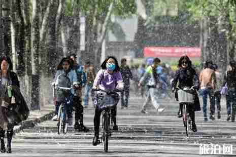 2019楊柳絮預警圖出爐 2019北京楊柳絮持續時間