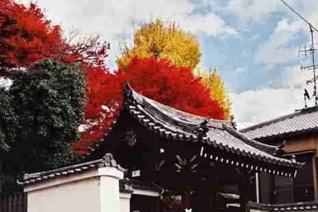 日本地震幾月份比較多 在日本旅游遇到地震怎么辦