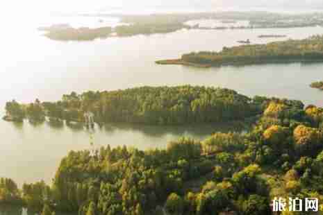 武汉桃花岛在哪里 武汉桃花一日游攻略