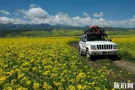 大西北自驾游最佳路线 西北自驾租车推荐