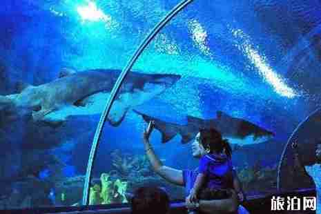 吉隆坡双子塔有什么好玩的