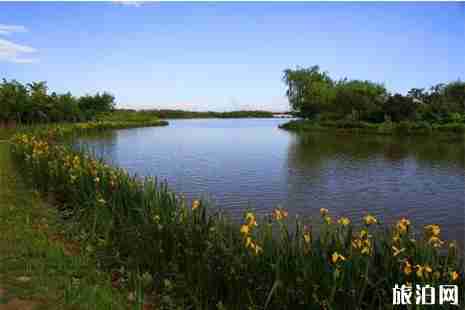 2019北京大兴南城念坛公园游玩攻略