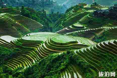 龍脊梯田放水時間2019 龍脊梯田攻略2019
